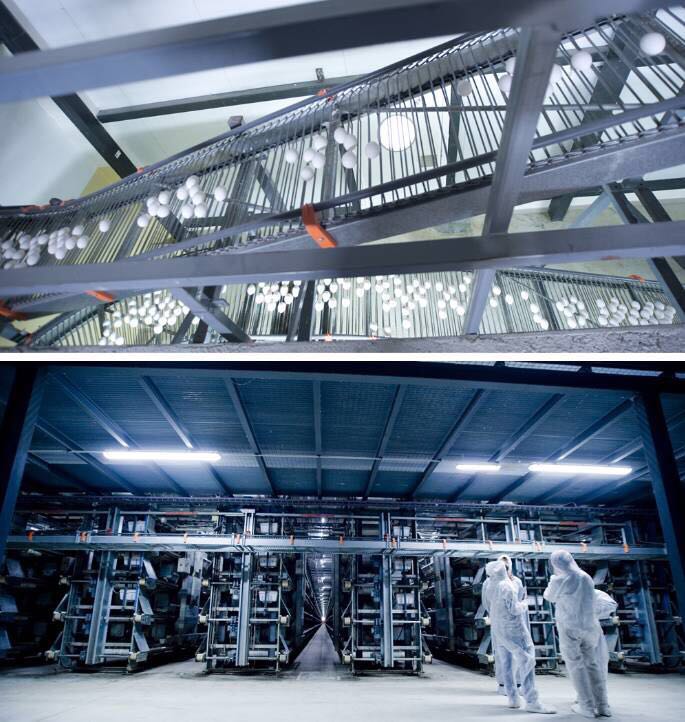 五層層疊式蛋雞養(yǎng)殖設(shè)備圖片