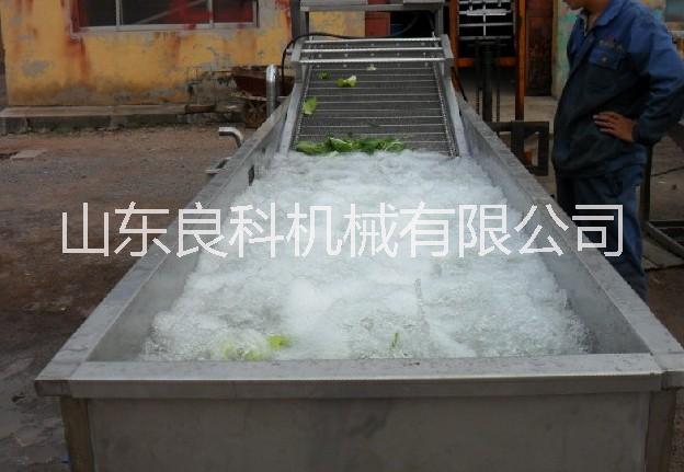 芹菜清洗機(jī)