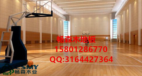 南京籃球運(yùn)動(dòng)木地板廠家圖片/南京籃球運(yùn)動(dòng)木地板廠家樣板圖 (4)
