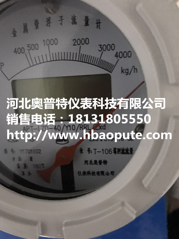 LZ金屬管浮子流量計圖片/LZ金屬管浮子流量計樣板圖 (2)