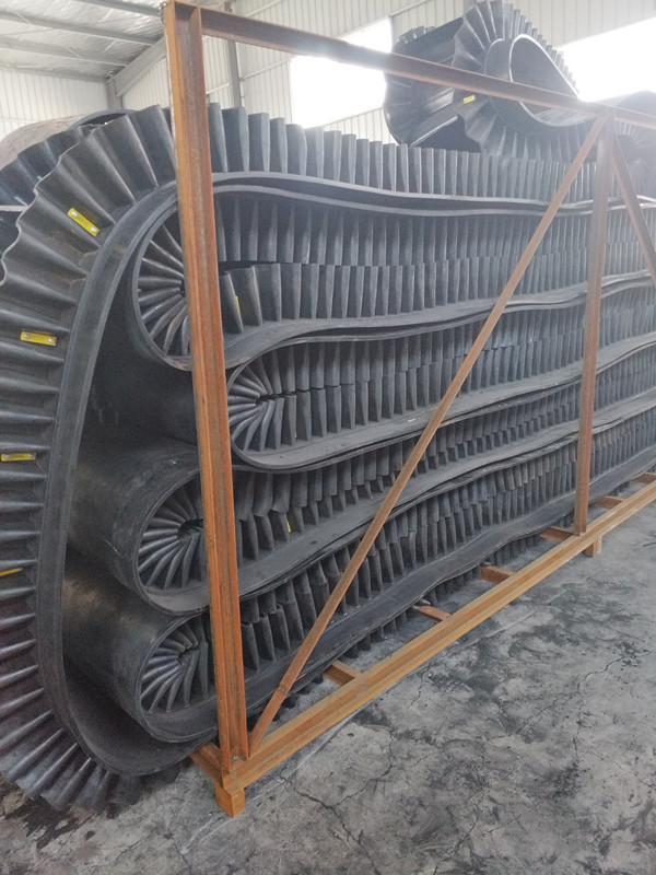 環(huán)形大傾角波狀擋邊橡膠輸送帶圖片/環(huán)形大傾角波狀擋邊橡膠輸送帶樣板圖 (4)