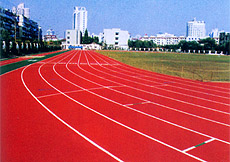 運動場地地坪圖片/運動場地地坪樣板圖 (2)