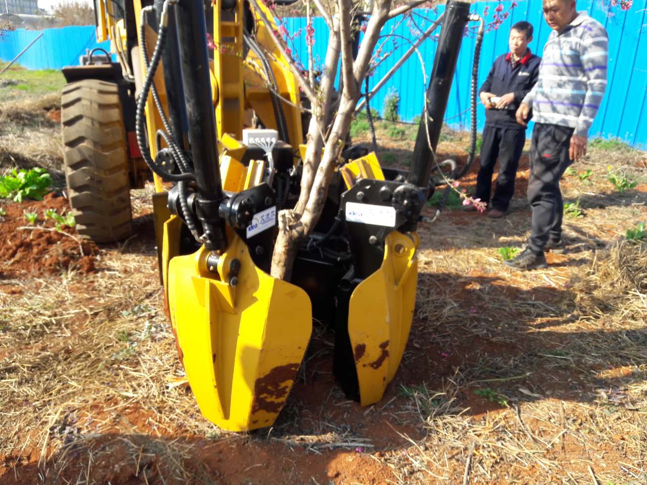 供應(yīng)艾迪爾700移樹機，挖樹機圖片/供應(yīng)艾迪爾700移樹機，挖樹機樣板圖 (2)