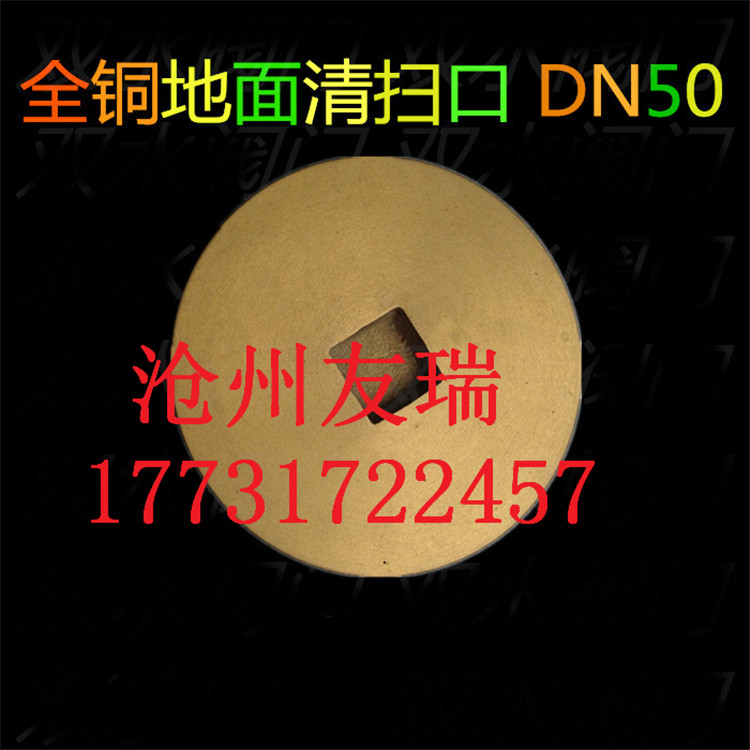 全銅清掃口圖片/全銅清掃口樣板圖 (4)