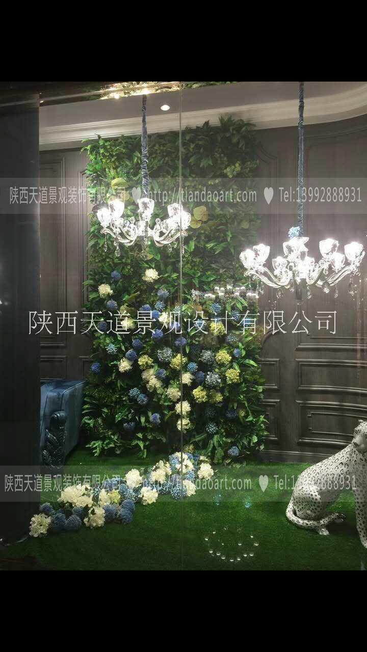 仿真植物圖片/仿真植物樣板圖 (1)