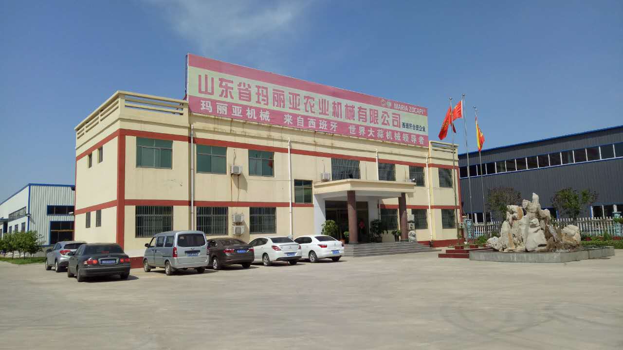 蒜米機(jī)生產(chǎn)線瑪麗亞廠家* 蒜米機(jī)、蒜米加工加、大蒜脫皮機(jī)