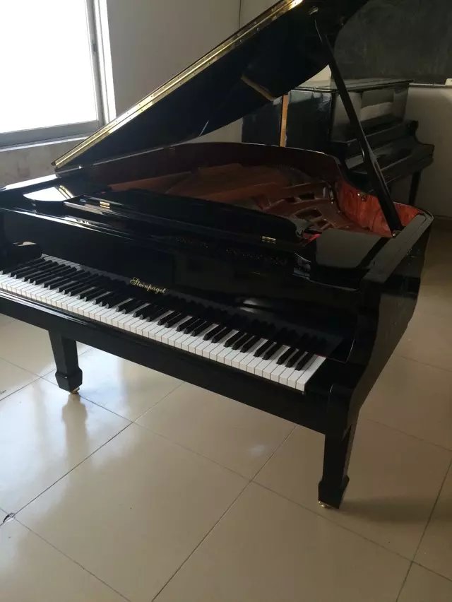 斯坦博爵鋼琴 GP-170圖片/斯坦博爵鋼琴 GP-170樣板圖 (3)