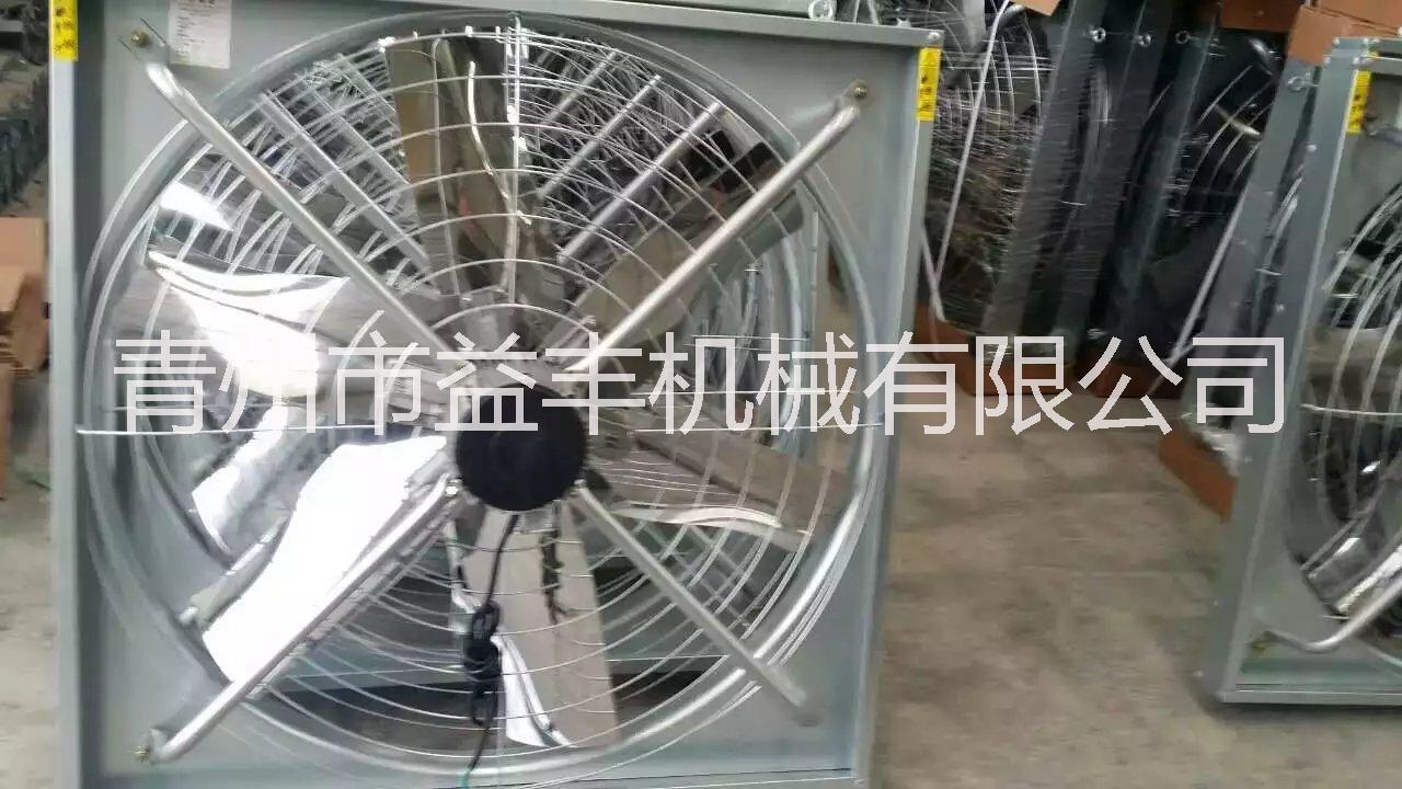牛舍風機圖片/牛舍風機樣板圖 (1)