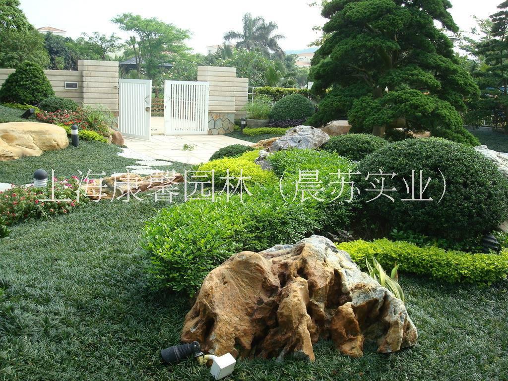 綠化養(yǎng)護(hù)圖片/綠化養(yǎng)護(hù)樣板圖 (2)