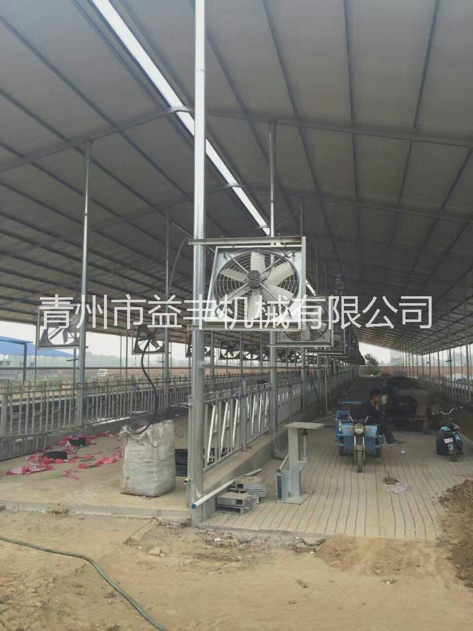 牛舍風機圖片/牛舍風機樣板圖 (2)