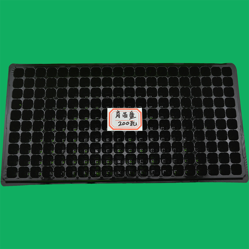 21孔加厚蔬菜營(yíng)養(yǎng)缽花卉育苗盤(pán)