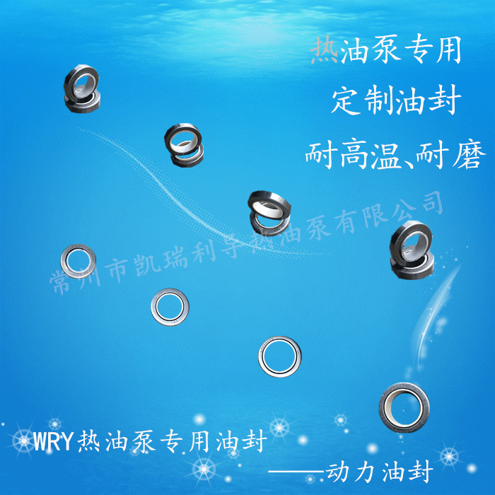 廠家直銷O型氟膠油封 耐磨耐高溫圖片/廠家直銷O型氟膠油封 耐磨耐高溫樣板圖 (2)