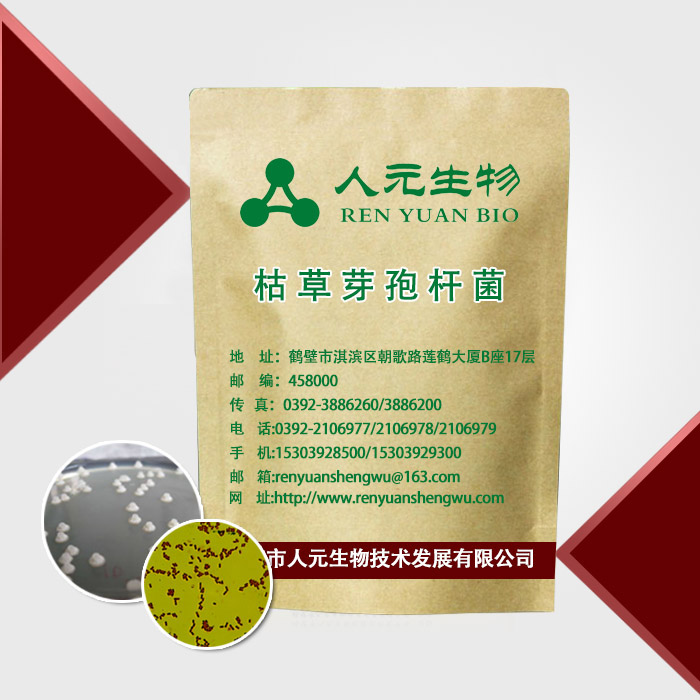 枯草芽孢桿菌圖片/枯草芽孢桿菌樣板圖 (1)