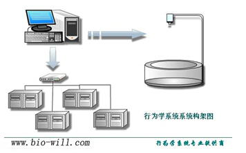 行为学实验站 动物行为学软件