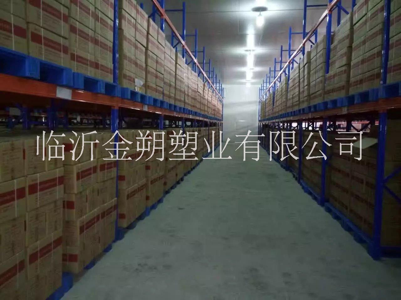 濟(jì)寧塑料托盤圖片/濟(jì)寧塑料托盤樣板圖 (3)