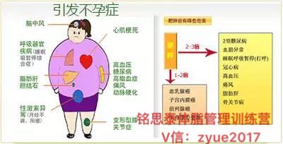 銘思泰體脂管理訓(xùn)練營/為什要減肥圖片/銘思泰體脂管理訓(xùn)練營/為什要減肥樣板圖 (3)