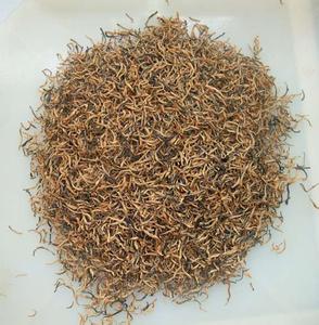 廣東哪里有金駿眉茶葉廠家 福建哪里有金駿眉茶葉廠家價格低