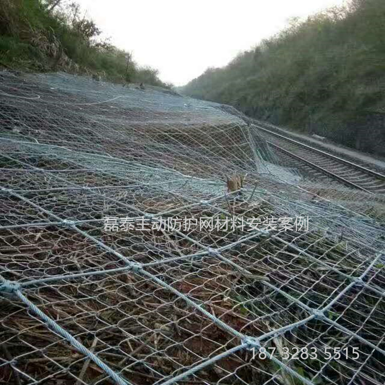 邊坡防護網(wǎng)圖片/邊坡防護網(wǎng)樣板圖 (2)