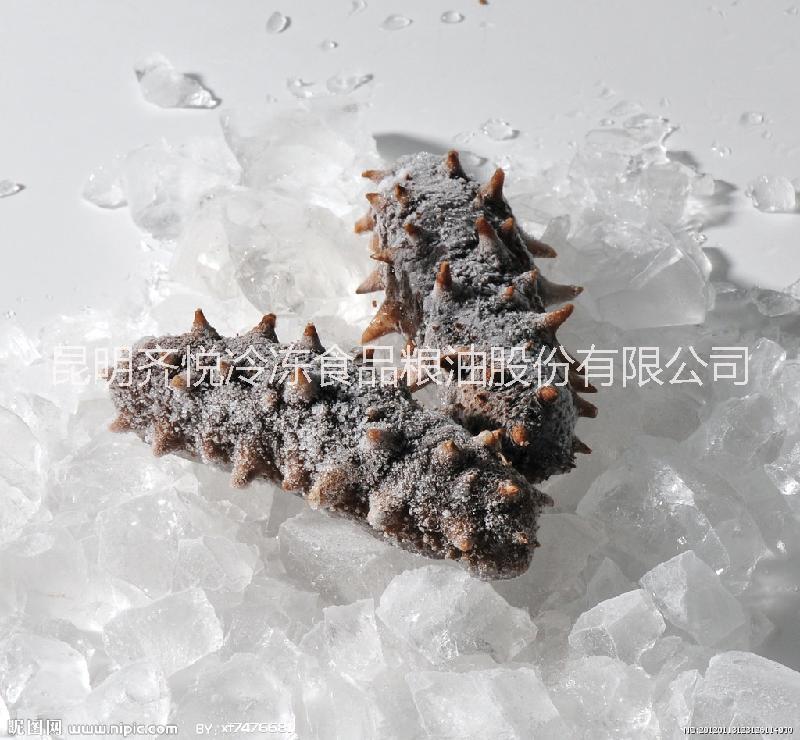 供應(yīng)冷凍海滲-海參批發(fā)廠家-海鰻供應(yīng)商家-冷凍黃鱔批發(fā)