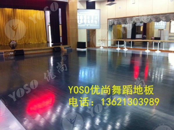舞蹈培訓(xùn)班圖片/舞蹈培訓(xùn)班樣板圖 (2)