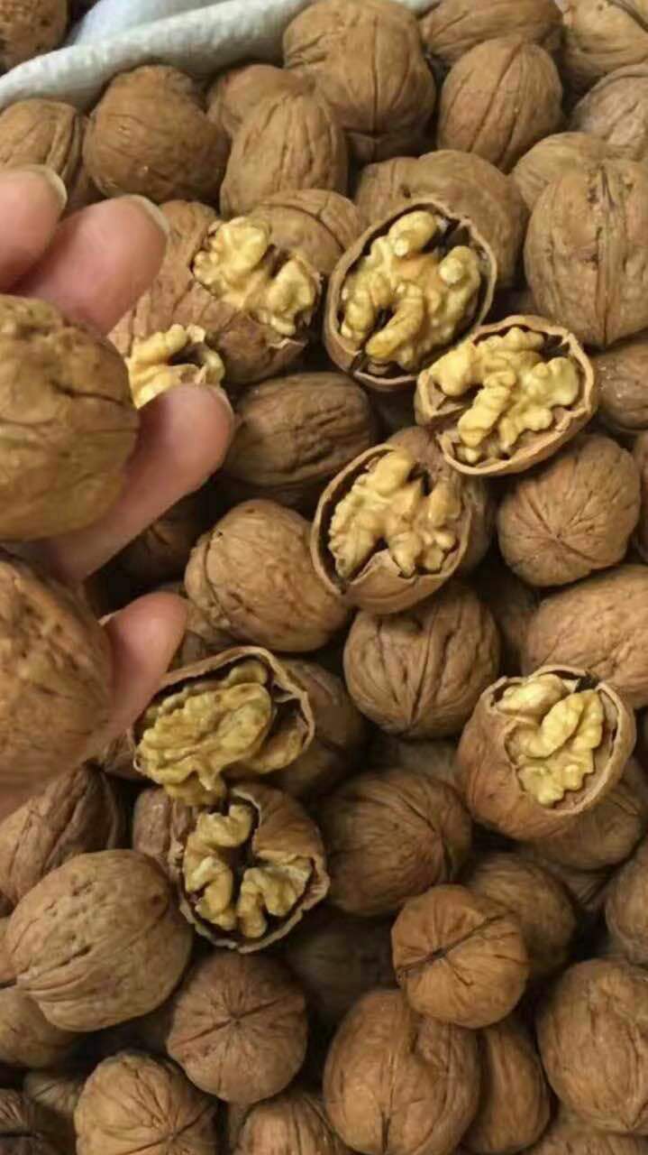 山藥圖片/山藥樣板圖 (4)