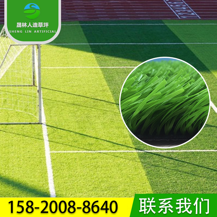 人造草坪圖片/人造草坪樣板圖 (3)