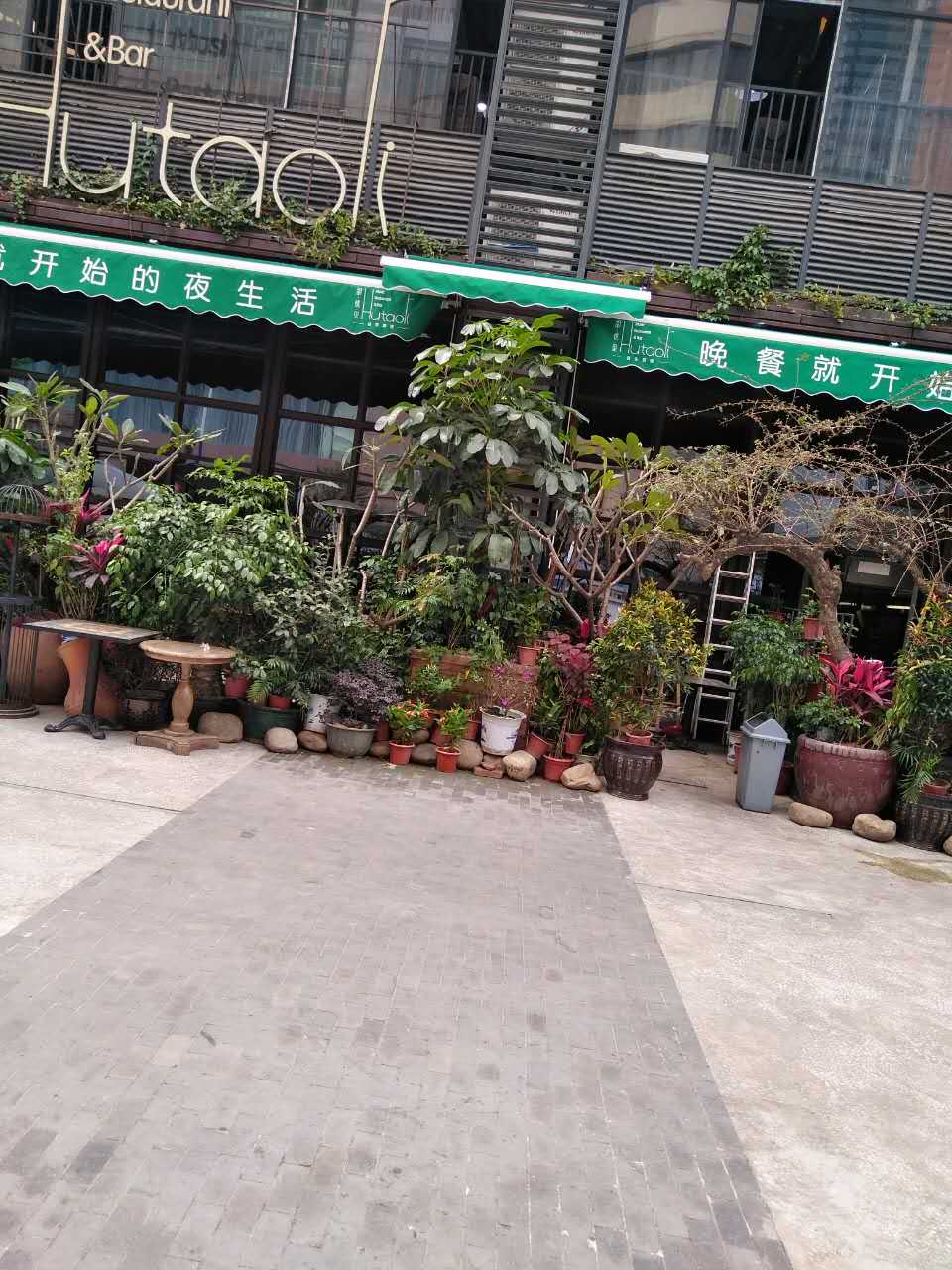 曲擘棚圖片/曲擘棚樣板圖 (1)