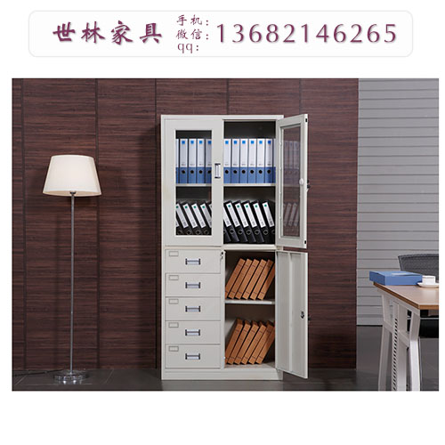 天津鋼制文件柜價格圖片