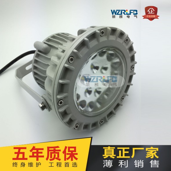 RLB153LED防爆平臺燈圖片