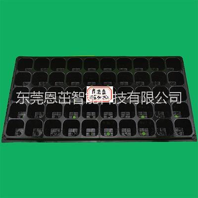 平底50孔加厚芽苗營養(yǎng)缽花卉育苗