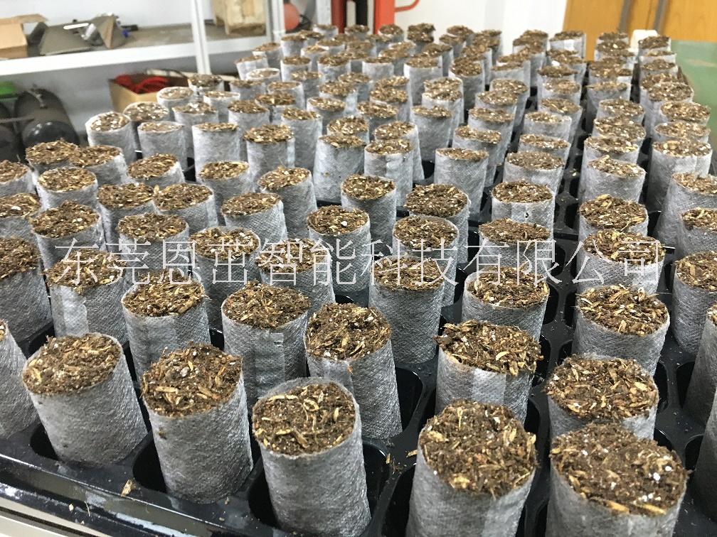 平底50孔加厚芽苗營養(yǎng)缽花卉育苗圖片/平底50孔加厚芽苗營養(yǎng)缽花卉育苗樣板圖 (4)