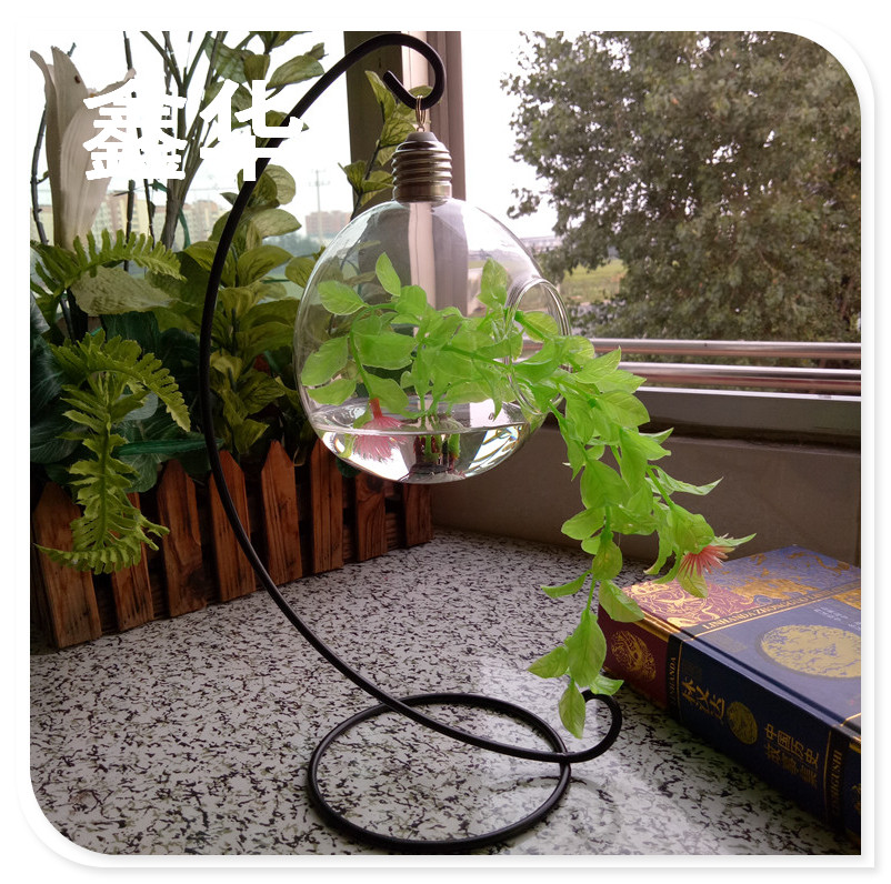 水培花瓶廠家批發(fā) 蛋形創(chuàng)意懸掛式微景觀，dj吊瓶多肉植物花瓶