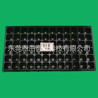 72孔加厚芽苗蔬菜營養(yǎng)缽花卉育苗圖片