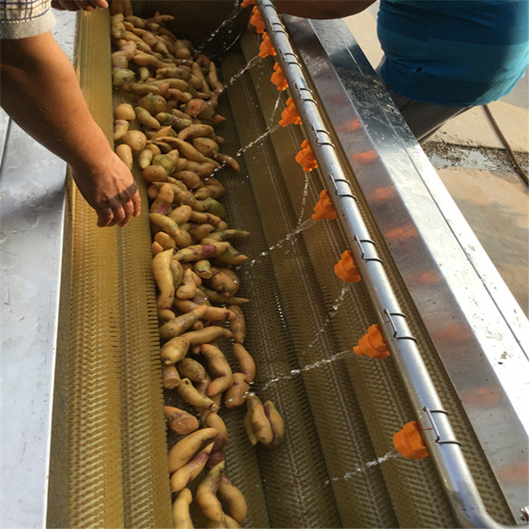 廠家直銷紅薯清洗機清洗機器圖片