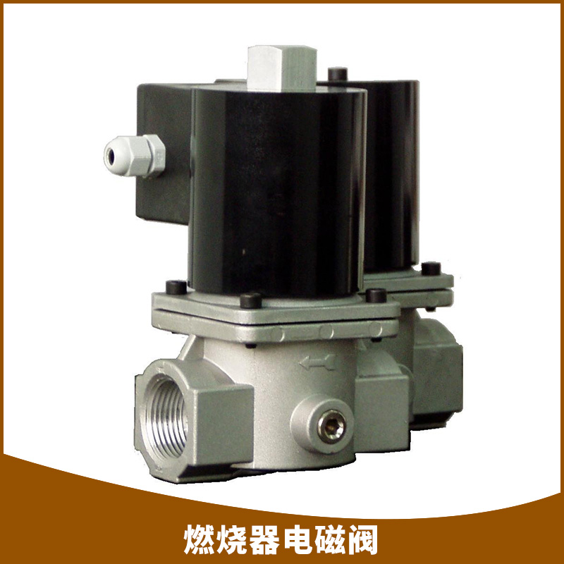 燃燒器電磁閥先導(dǎo)式活塞式電磁閥執(zhí)行器燃燒器價格實惠燃燒器電磁閥廠家供應(yīng)