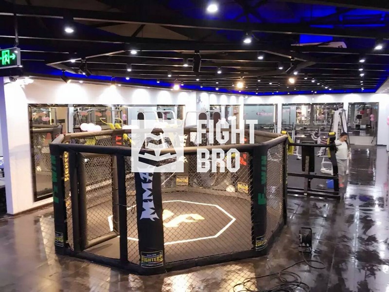 精英版落地格斗籠 武館 健身房圖片