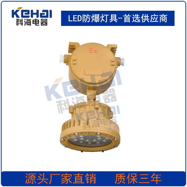 LED防爆燈圖片/LED防爆燈樣板圖 (2)