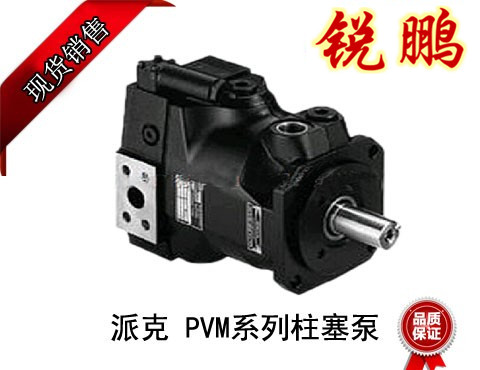 派克油泵圖片/派克油泵樣板圖 (4)