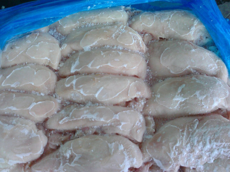 種雞大胸圖片/種雞大胸樣板圖 (3)