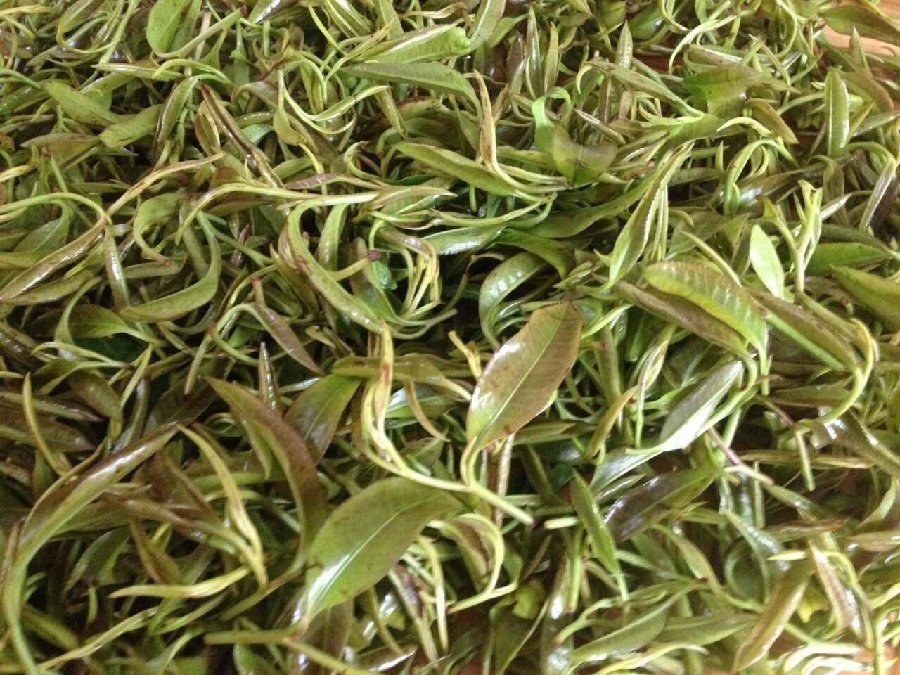 石花茶石縫里生長出來的好茶