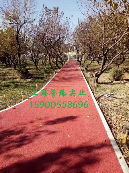 透水地坪透水路面圖片/透水地坪透水路面樣板圖 (4)