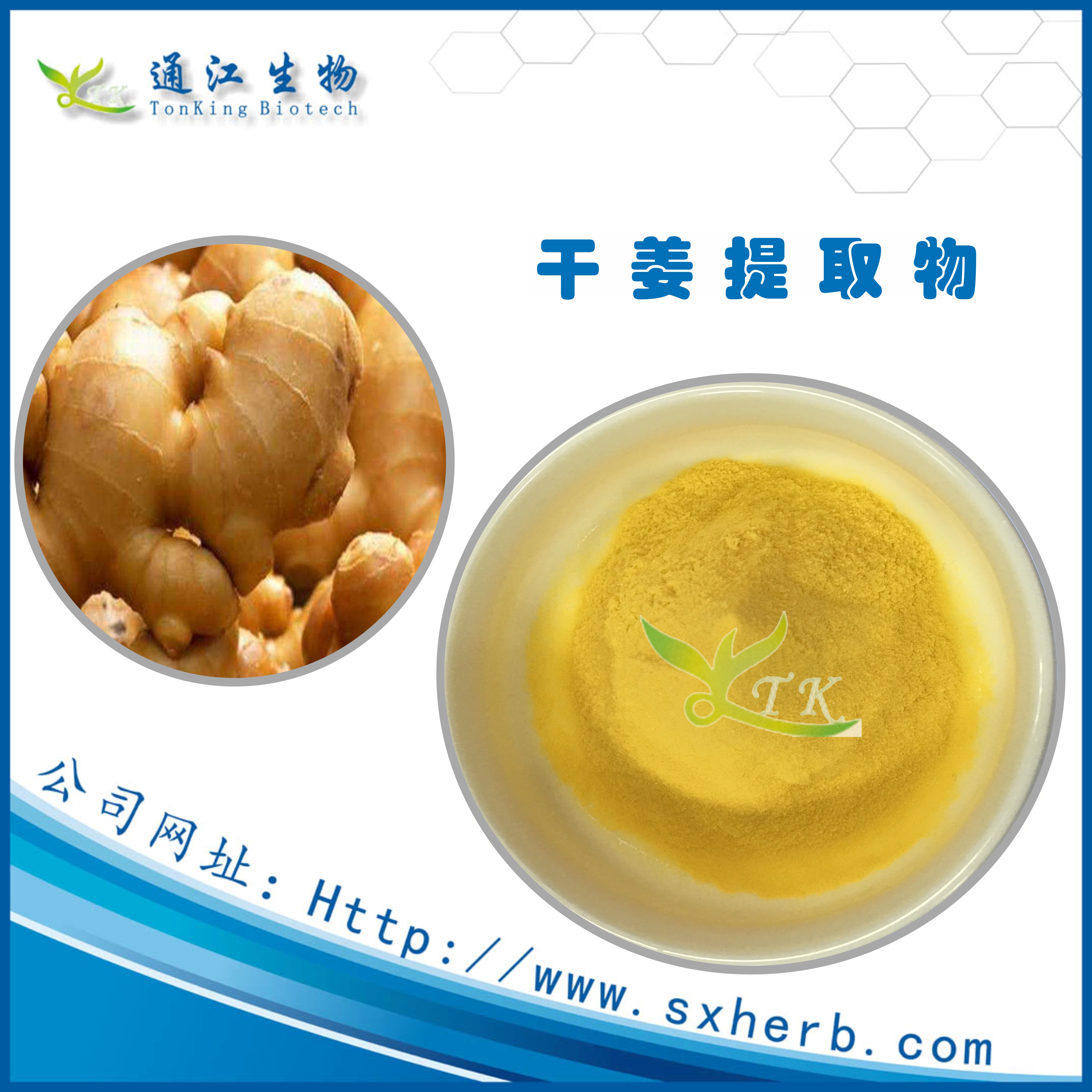 源頭廠家供應(yīng)干姜提取物 規(guī)格10圖片