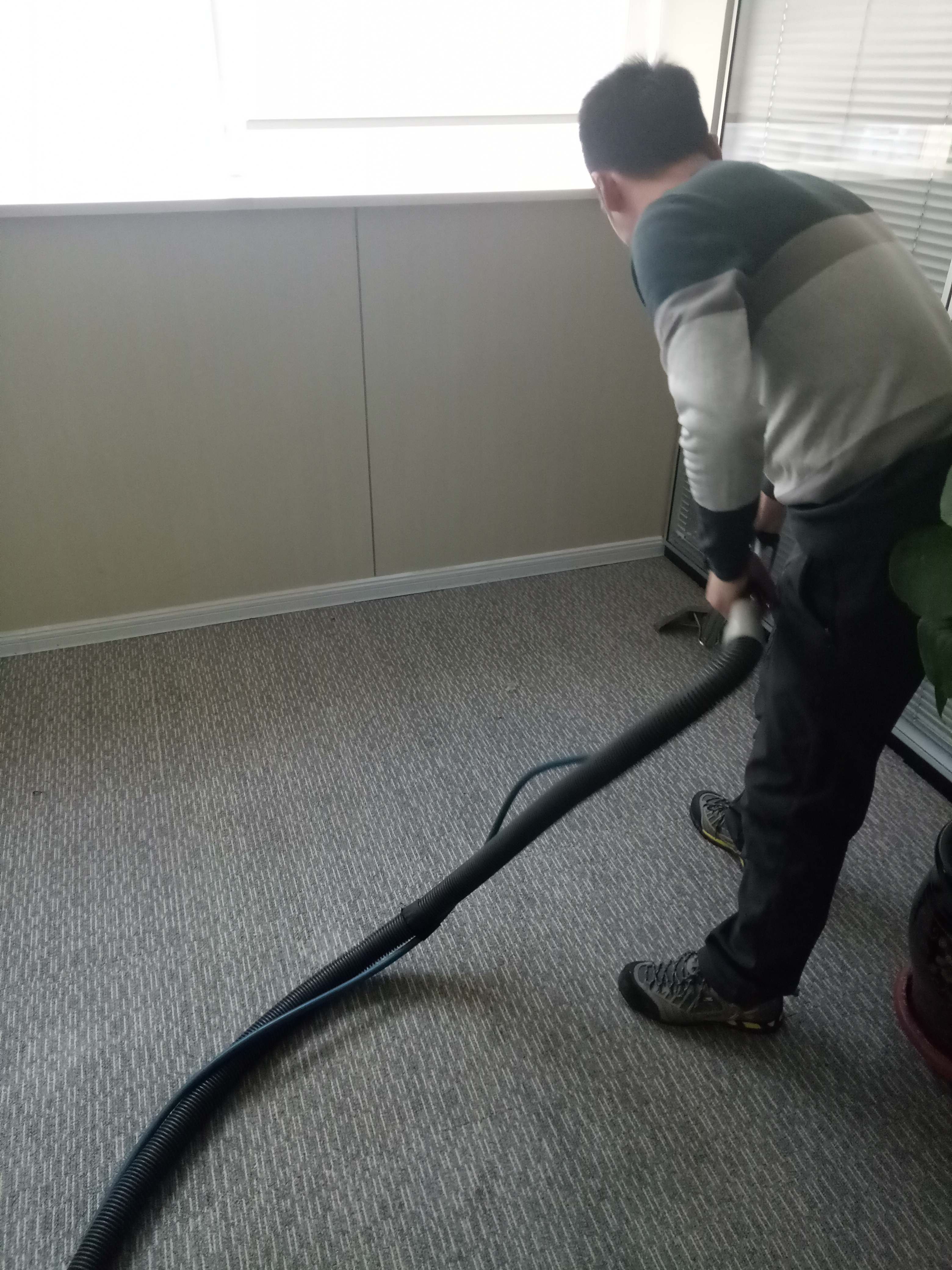 清洗地毯圖片/清洗地毯樣板圖 (4)