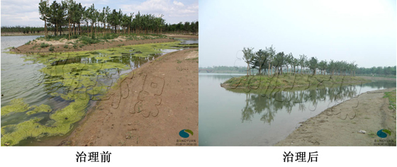 水環(huán)境圖片/水環(huán)境樣板圖 (1)