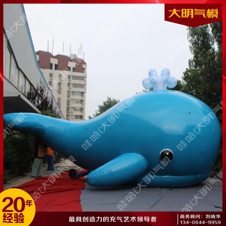 海豚氣模圖片/海豚氣模樣板圖 (1)