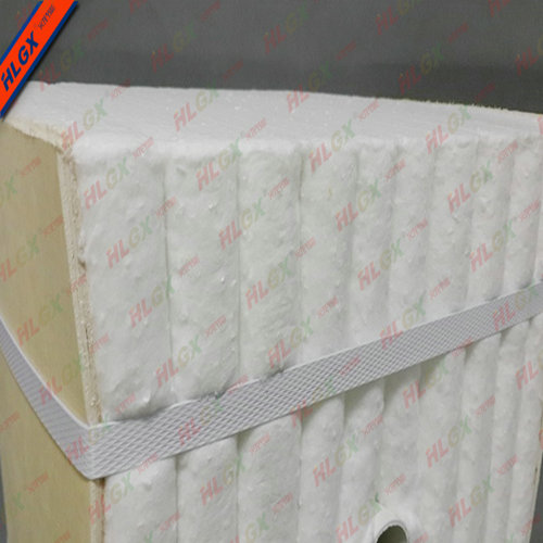 陶瓷纖維模塊圖片/陶瓷纖維模塊樣板圖 (3)