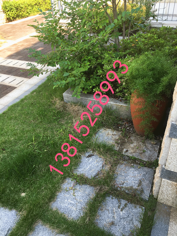 蘇州別墅綠化,蘇州庭院景觀綠化圖片/蘇州別墅綠化,蘇州庭院景觀綠化樣板圖 (1)