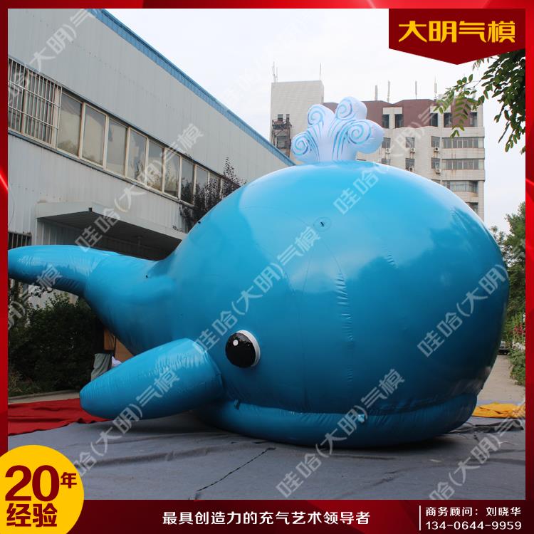 海豚氣模圖片/海豚氣模樣板圖 (4)