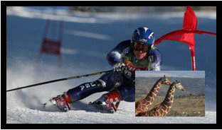 福建液晶拼接屏廈門，福州，寧德圖片