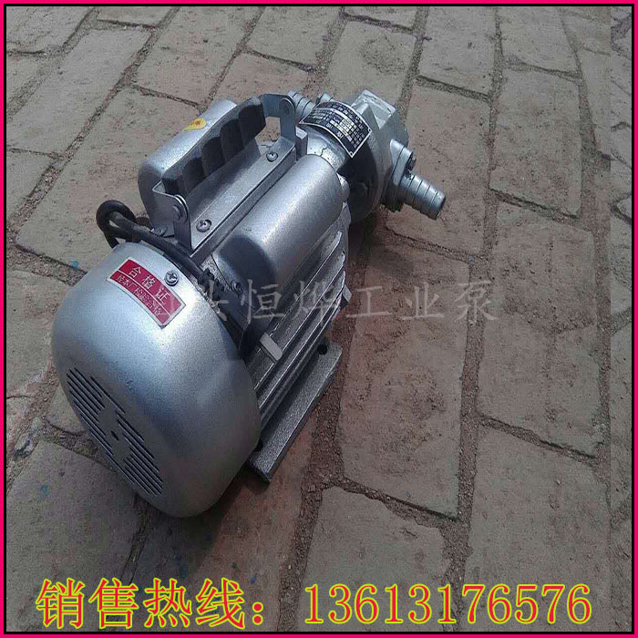 WCB防爆手提泵圖片